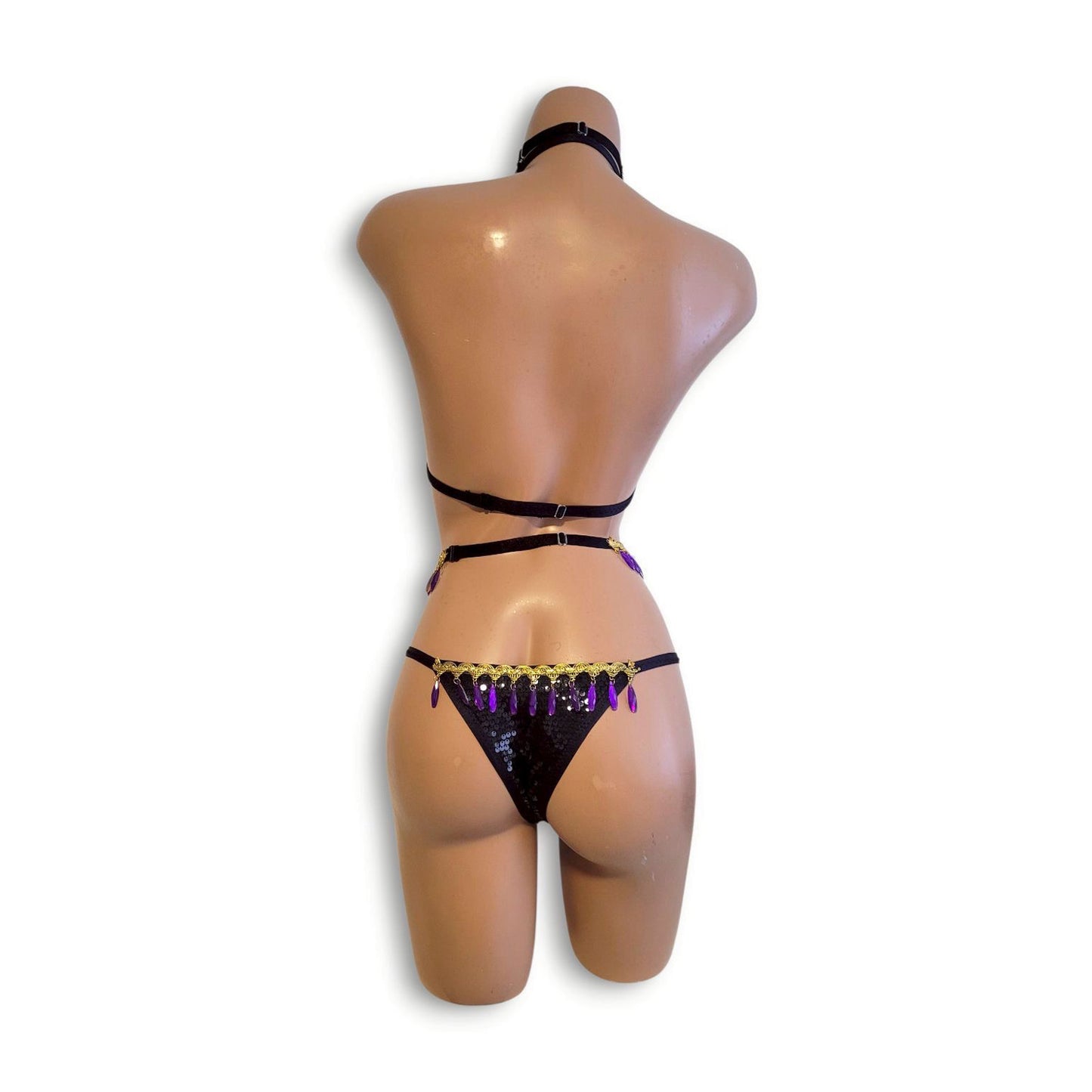 Black & Purple Beaded Fringe High-Waist Bikini (Half Back)